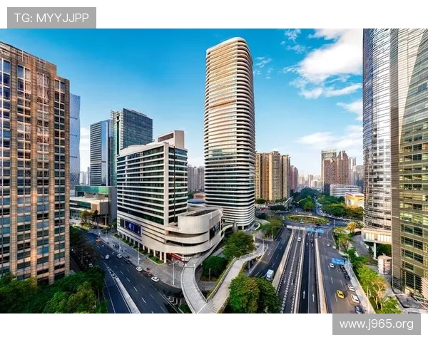新城娱乐登录地址最新官方入口导航大全